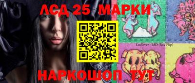 гашик Нальчик